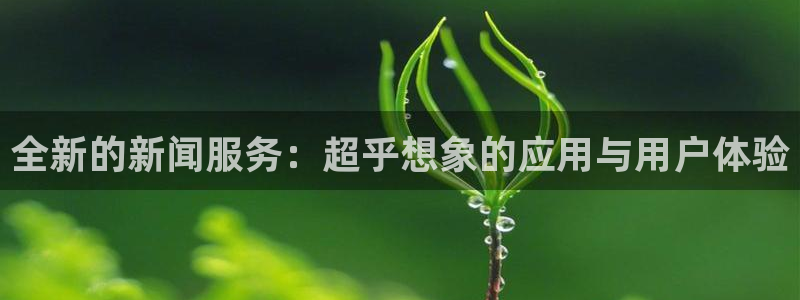 全新的新闻服务：超乎想象的应用与用户体验