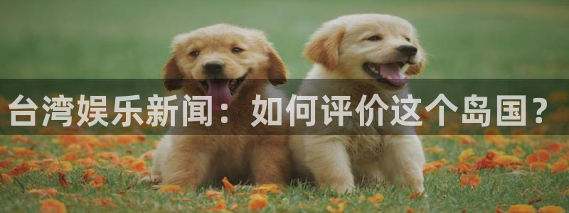 台湾娱乐新闻：如何评价这个岛国？