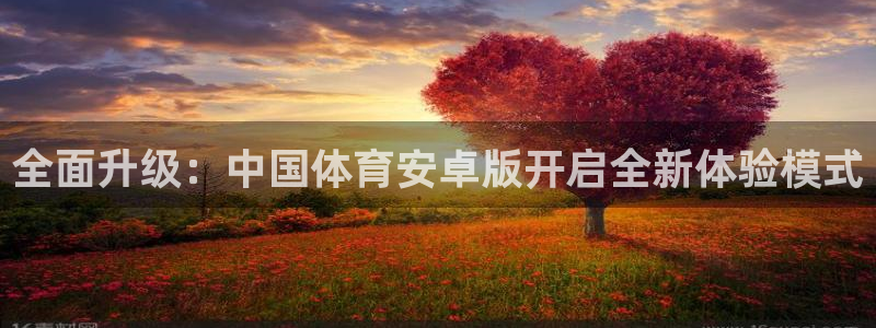 全面升级：中国体育安卓版开启全新体验模式
