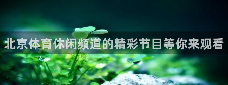 北京体育休闲频道的精彩节目等你来观看