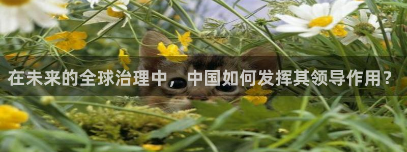在未来的全球治理中，中国如何发挥其领导作用？