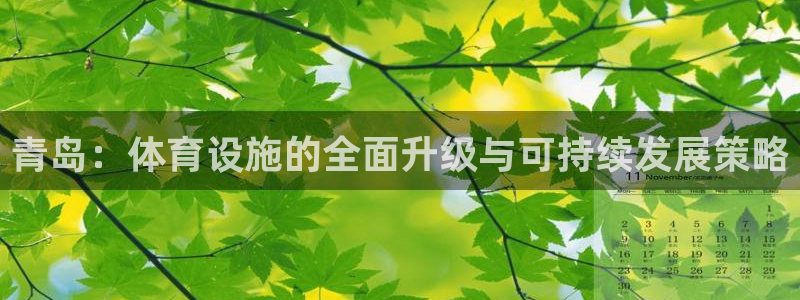 青岛：体育设施的全面升级与可持续发展策略