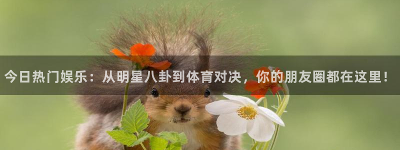 今日热门娱乐：从明星八卦到体育对决，你的朋友圈都在这里！