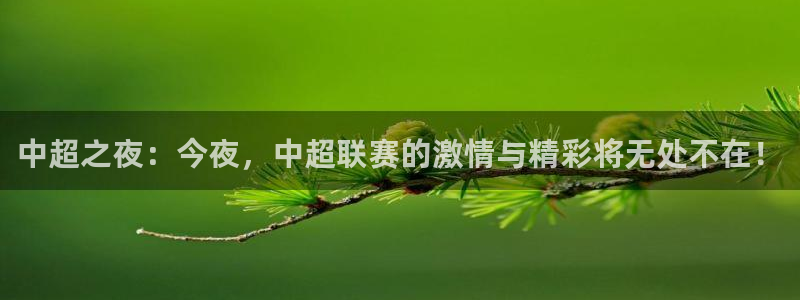 中超之夜：今夜，中超联赛的激情与精彩将无处不在！