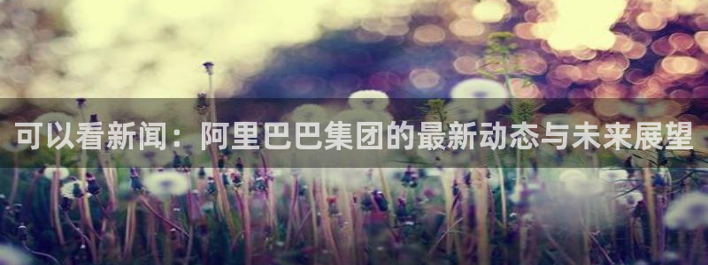 可以看新闻：阿里巴巴集团的最新动态与未来展望