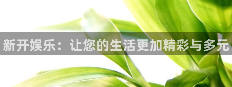 新开娱乐：让您的生活更加精彩与多元