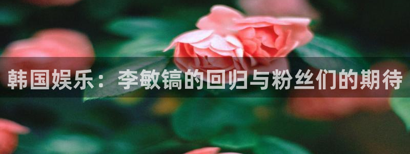 韩国娱乐：李敏镐的回归与粉丝们的期待