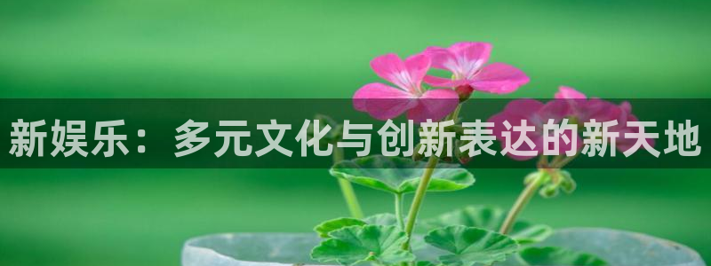 新娱乐：多元文化与创新表达的新天地