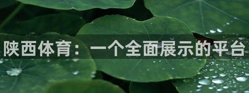 陕西体育：一个全面展示的平台