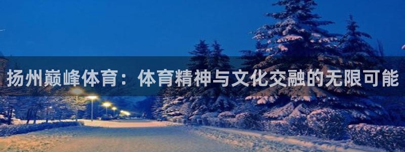 扬州巅峰体育：体育精神与文化交融的无限可能