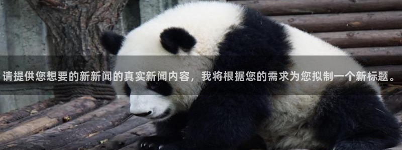 请提供您想要的新新闻的真实新闻内容，我将根据您的需求为您拟制一个新标题。