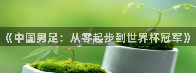 《中国男足：从零起步到世界杯冠军》