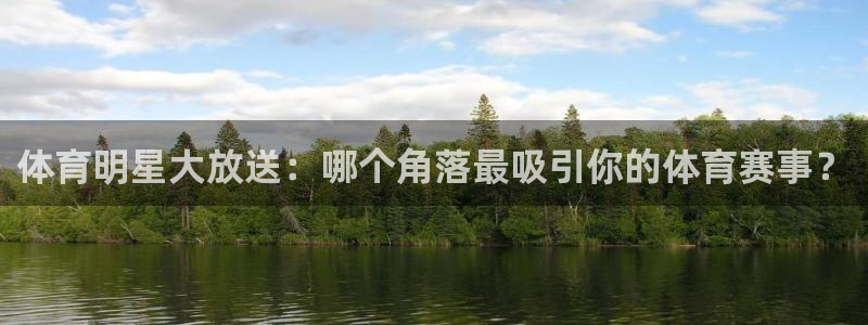 体育明星大放送：哪个角落最吸引你的体育赛事？