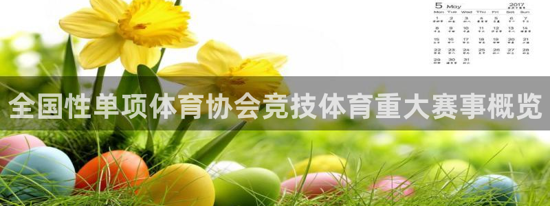全国性单项体育协会竞技体育重大赛事概览
