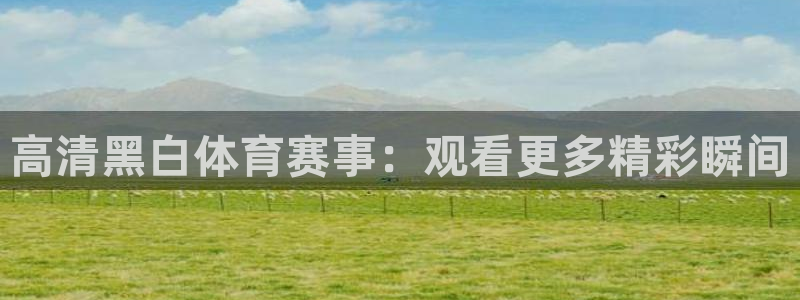 高清黑白体育赛事：观看更多精彩瞬间