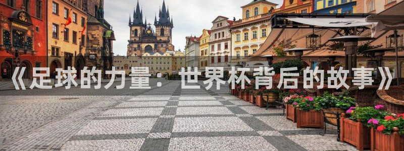 《足球的力量：世界杯背后的故事》