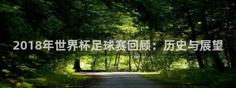 2018年世界杯足球赛回顾：历史与展望