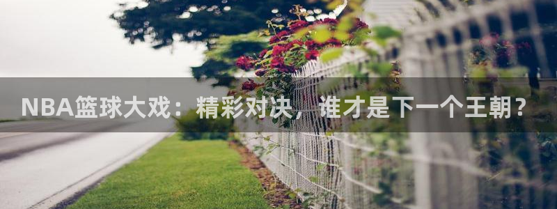 NBA篮球大戏：精彩对决，谁才是下一个王朝？