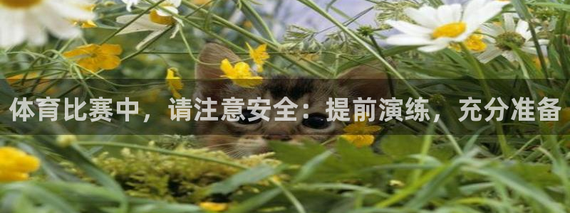 体育比赛中，请注意安全：提前演练，充分准备