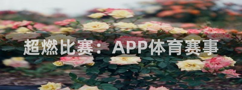超燃比赛：APP体育赛事