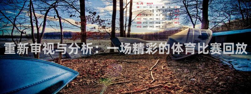 重新审视与分析：一场精彩的体育比赛回放