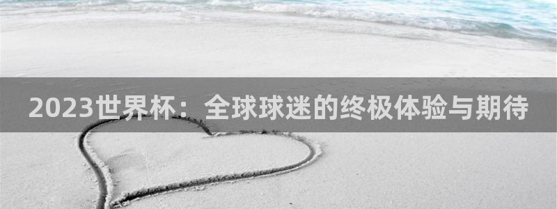 2023世界杯：全球球迷的终极体验与期待