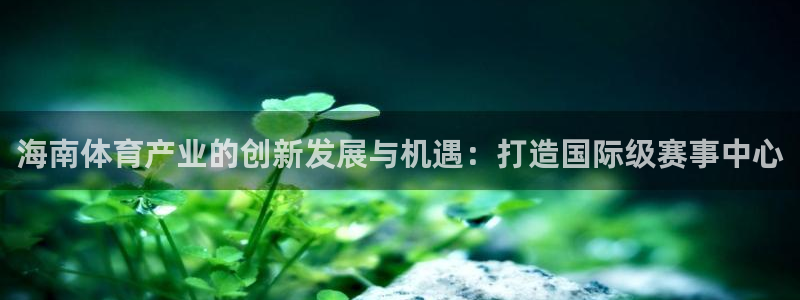 海南体育产业的创新发展与机遇：打造国际级赛事中心